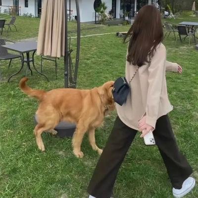 甜姐儿